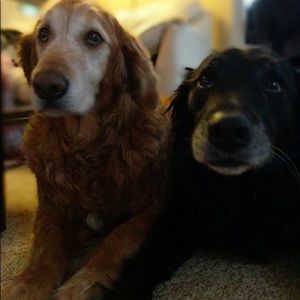 Meet your Posher, Renee